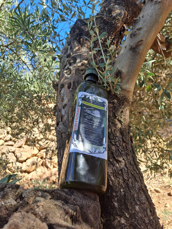 Hacienda Los Poyos 10