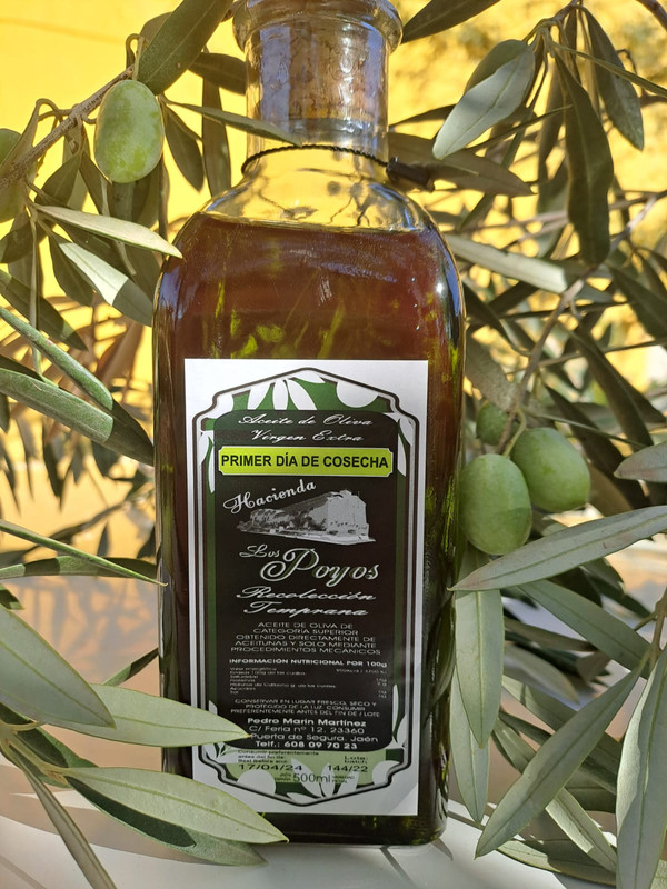 Hacienda Los Poyos 2