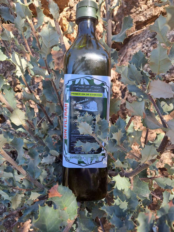 Hacienda Los Poyos 8