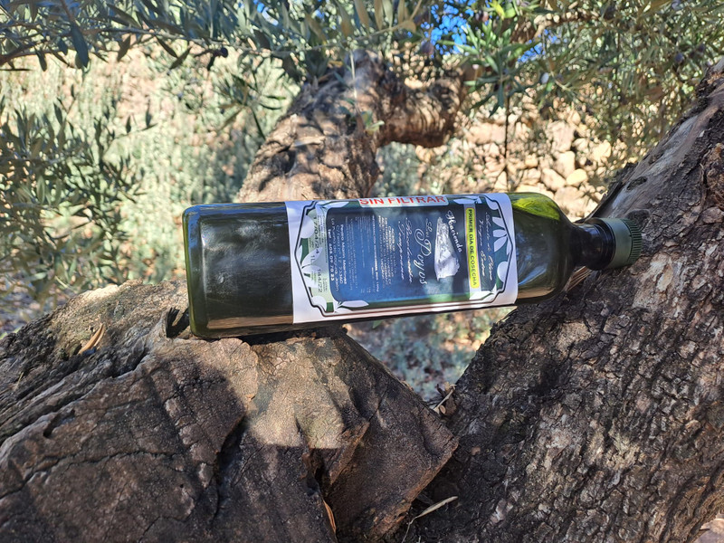 Hacienda Los Poyos 11