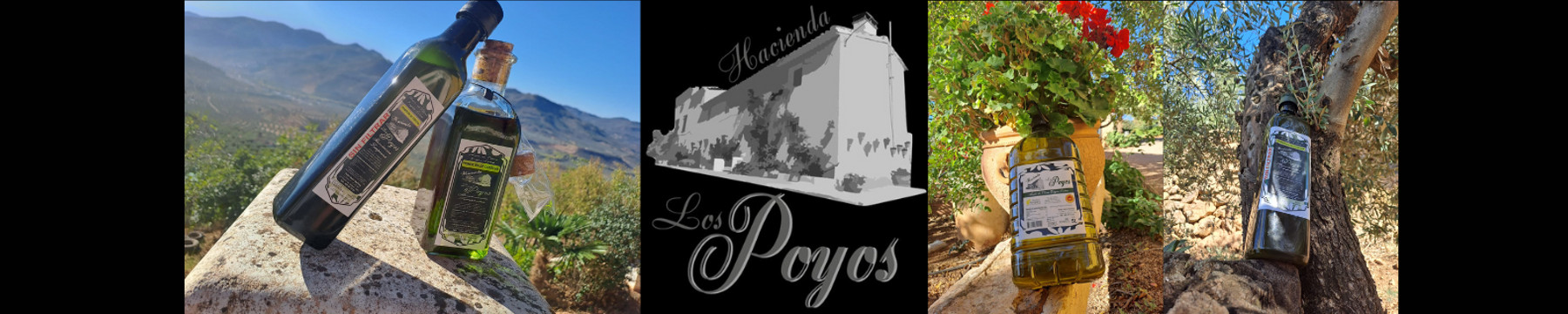Hacienda Los Poyos