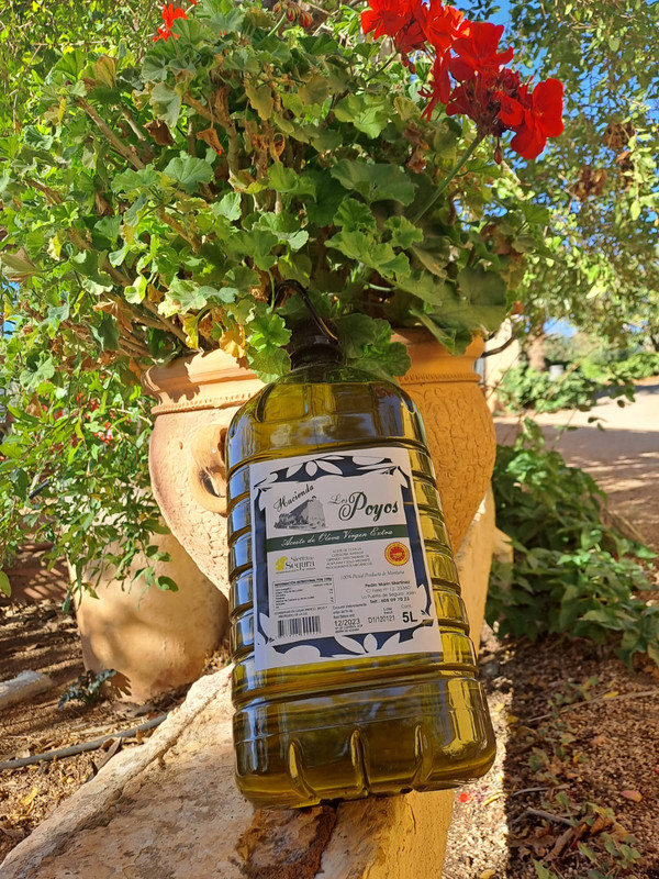 Hacienda Los Poyos 3