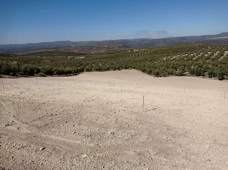 Topografía y Cartografía