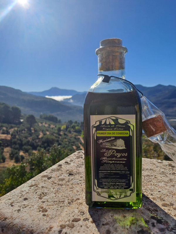 Hacienda Los Poyos 6