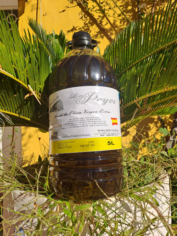 Hacienda Los Poyos 7