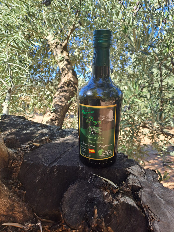 Hacienda Los Poyos 9